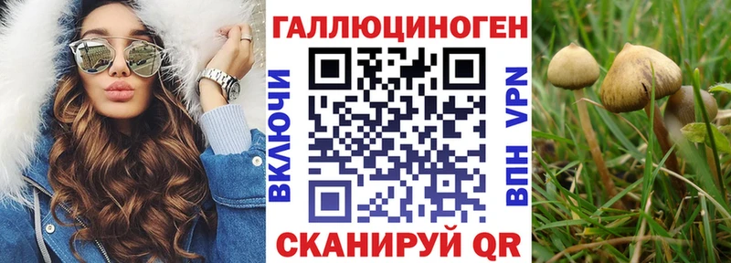 Купить где  Северобайкальск  Псилоцибиновые грибы ЛСД 